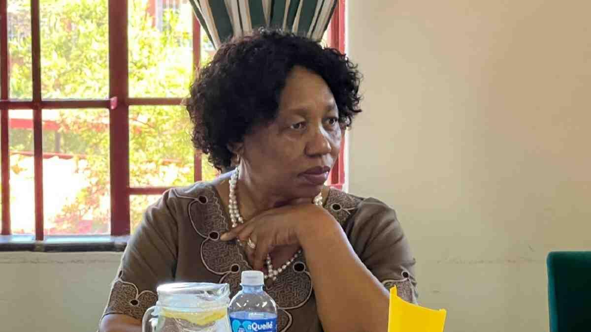 angie motshekga